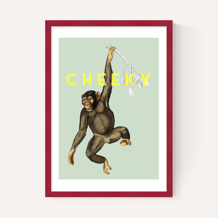 Cheeky Monkey