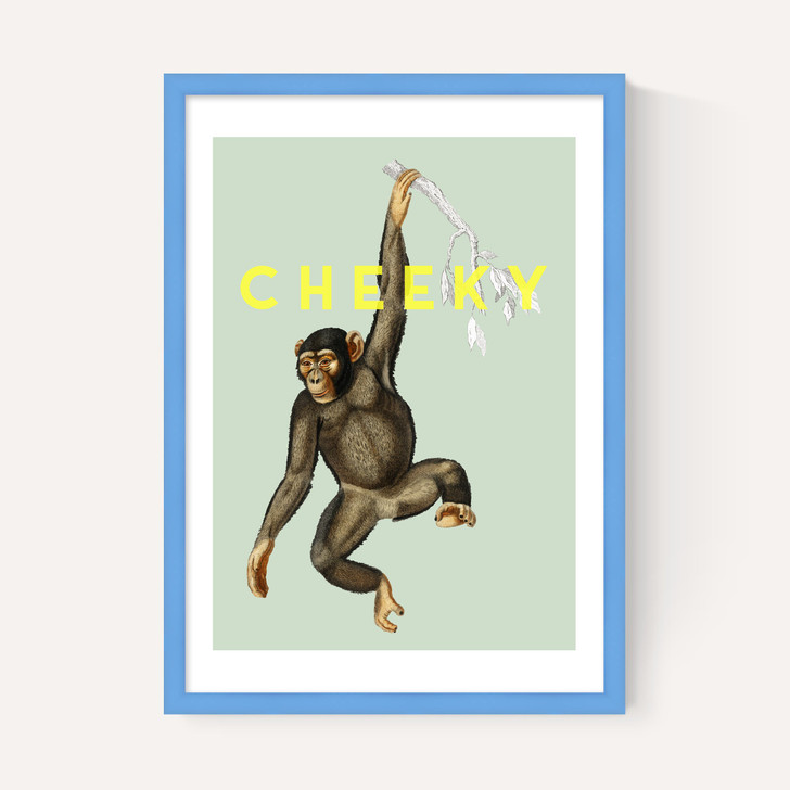 Cheeky Monkey