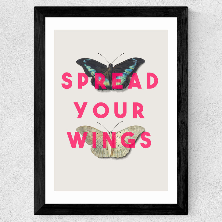 Spread Your Wings
