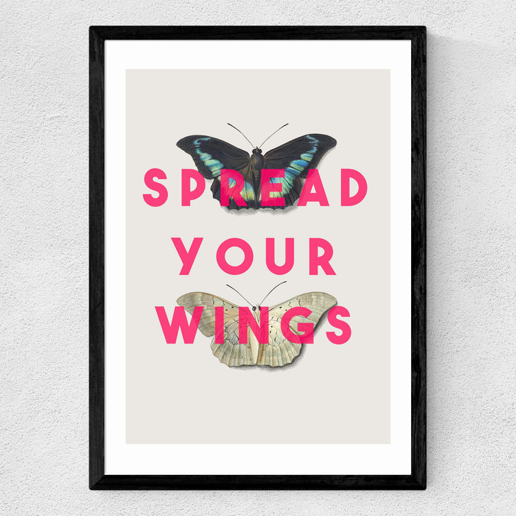 Spread Your Wings