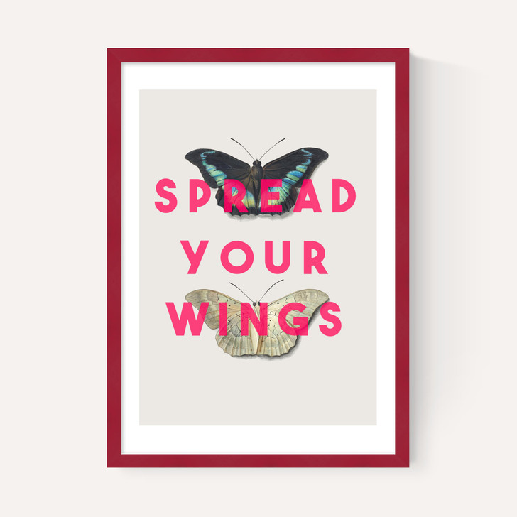 Spread Your Wings