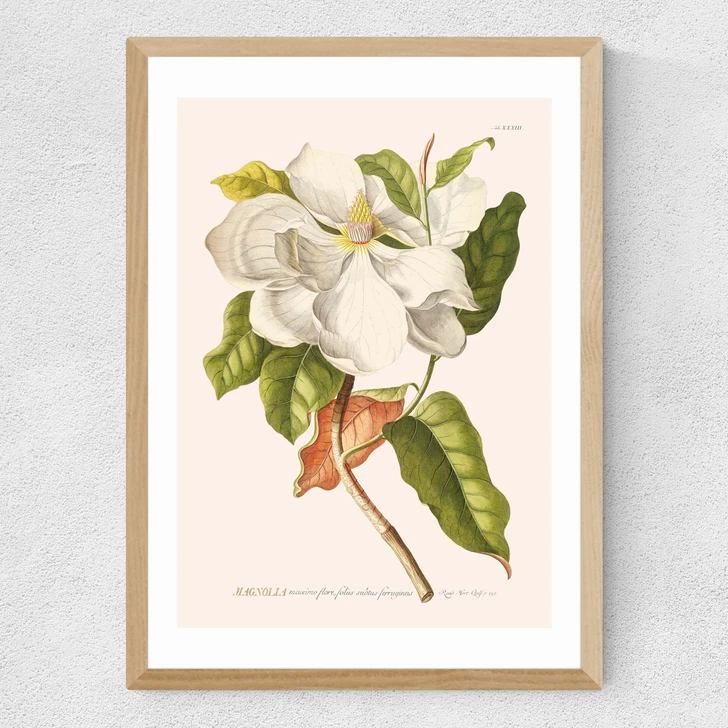 Magnolia by Aster Medium Oak Frame