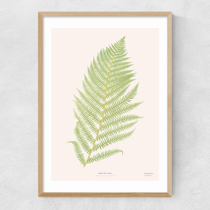 Ferns 2 Narrow Oak Frame