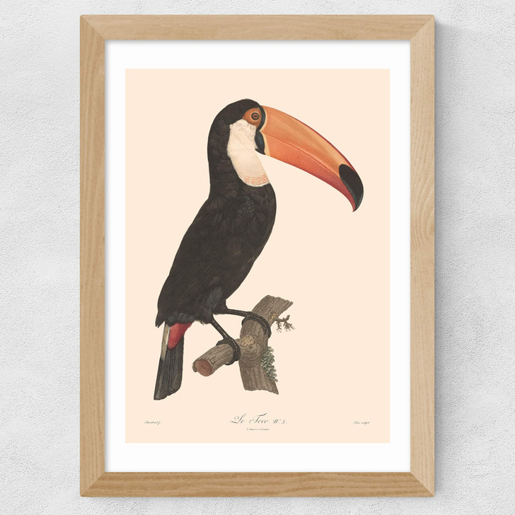 Toucan by Aster Wide Oak Frame