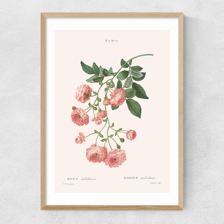 Rosier by Aster Narrow Oak Frame