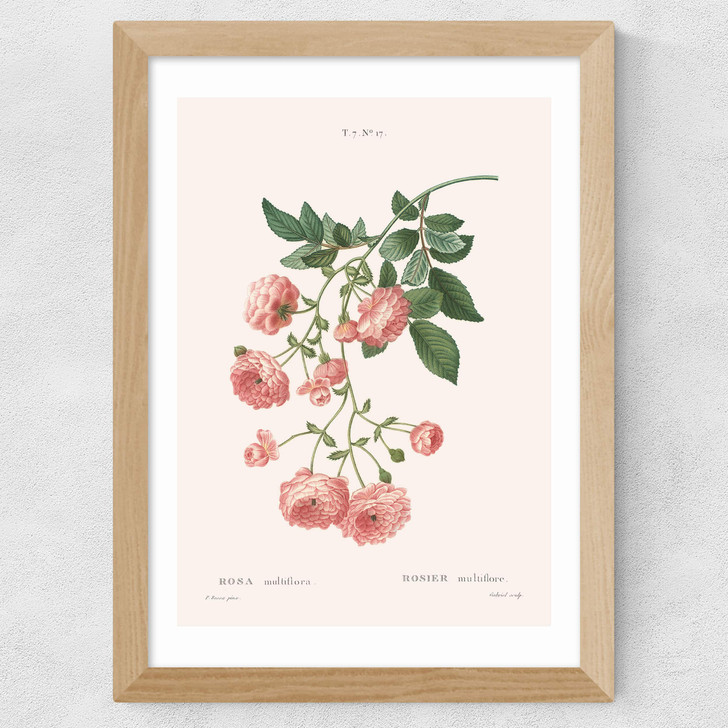 Rosier by Aster Wide Oak Frame