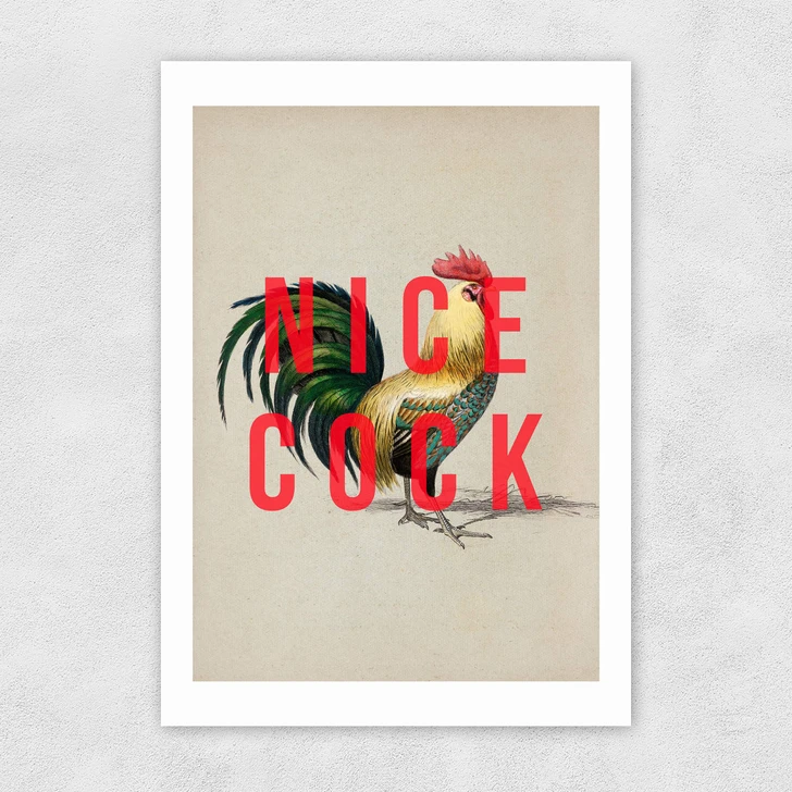 Nice Cock Unframed Print
