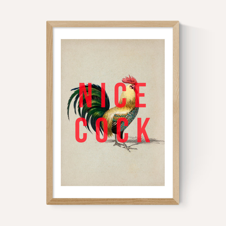 Nice Cock