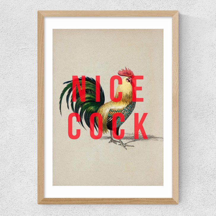 Nice Cock