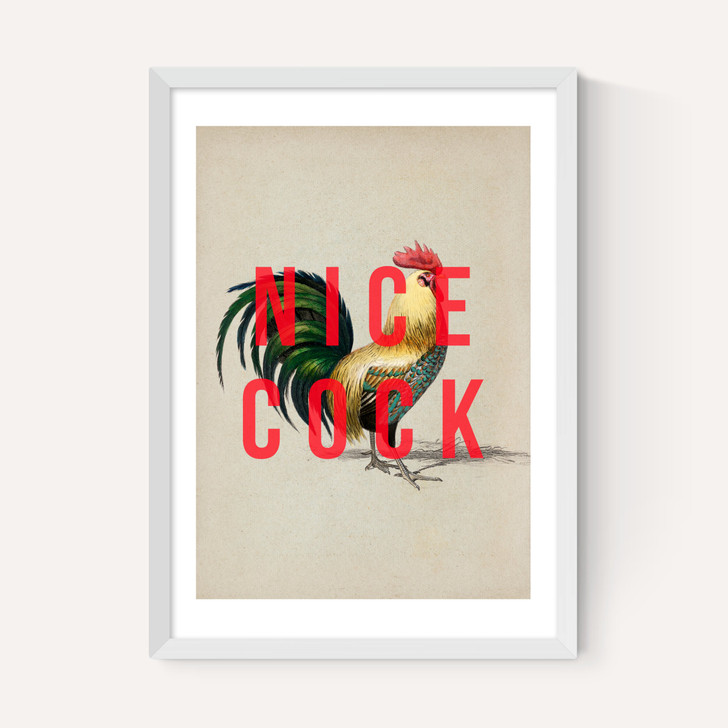 Nice Cock