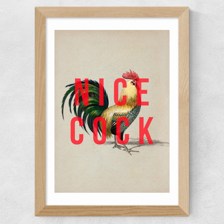 Nice Cock