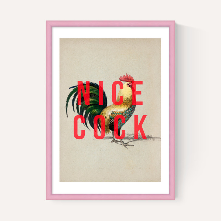 Nice Cock