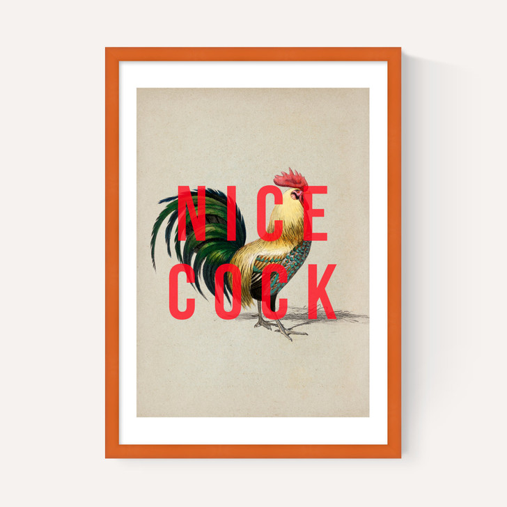 Nice Cock