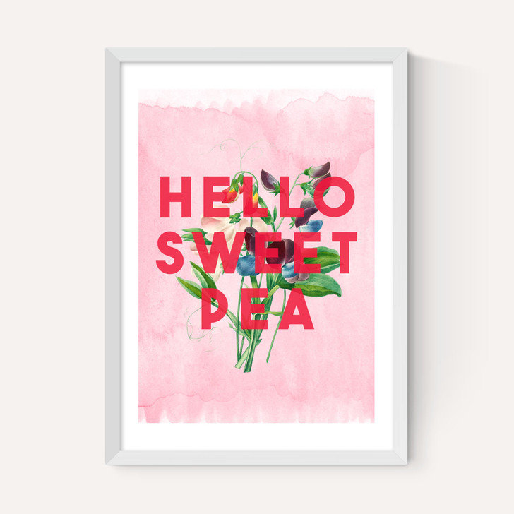 Hello Sweet Pea