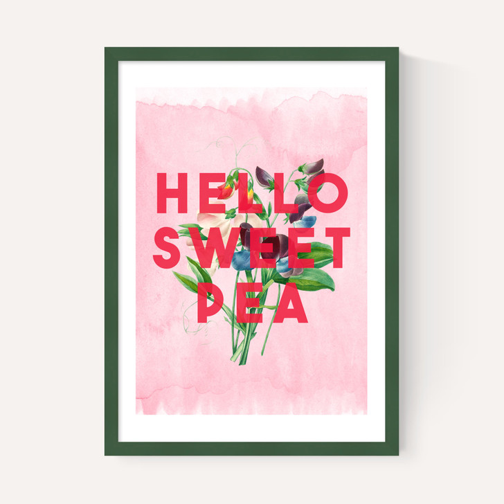 Hello Sweet Pea