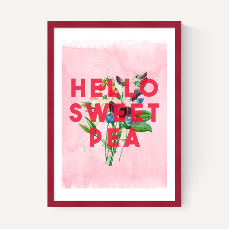 Hello Sweet Pea