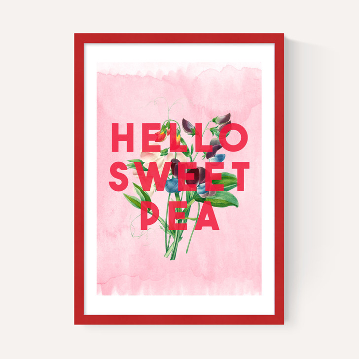 Hello Sweet Pea