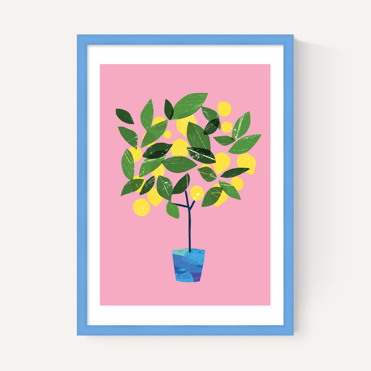 Meyer Lemon Tree