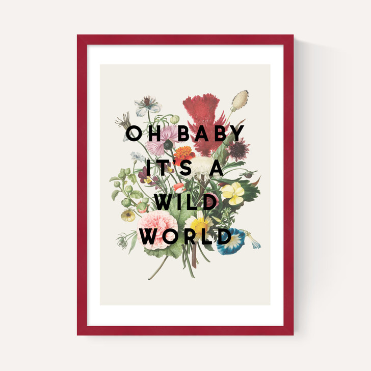 Oh Baby It's A Wild World