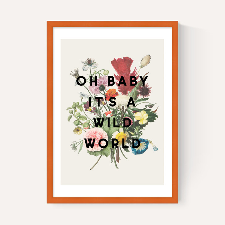 Oh Baby It's A Wild World