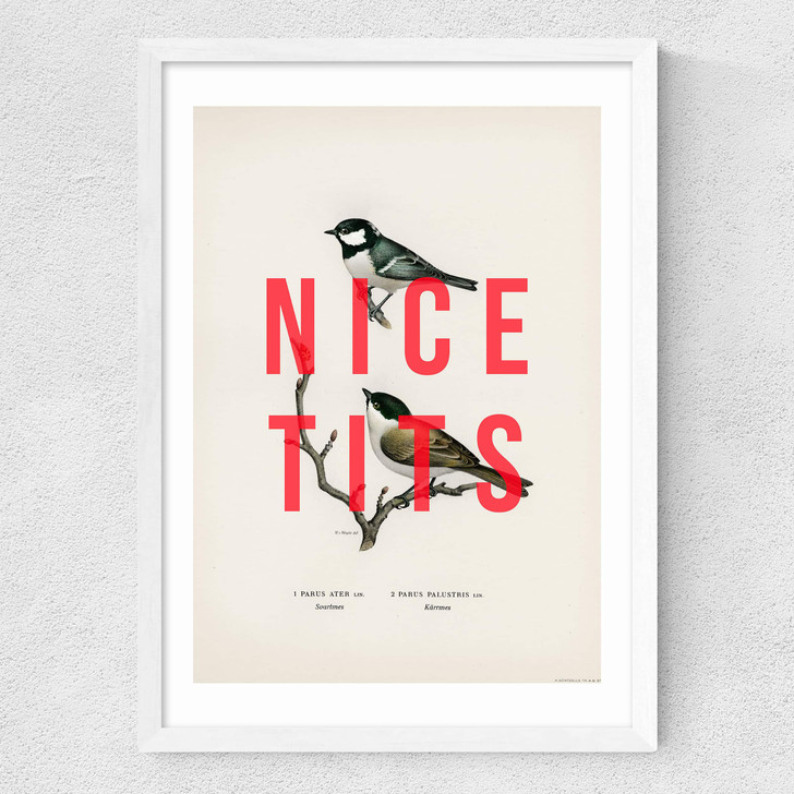 Nice Tits Medium White Frame