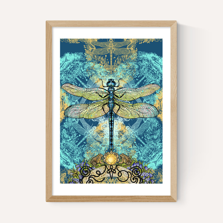 Spirited Dragonfly