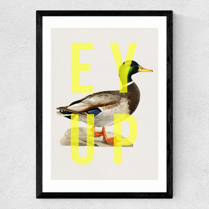 Ey Up Duck Medium Black Frame Ey Up Duck Medium Black Frame