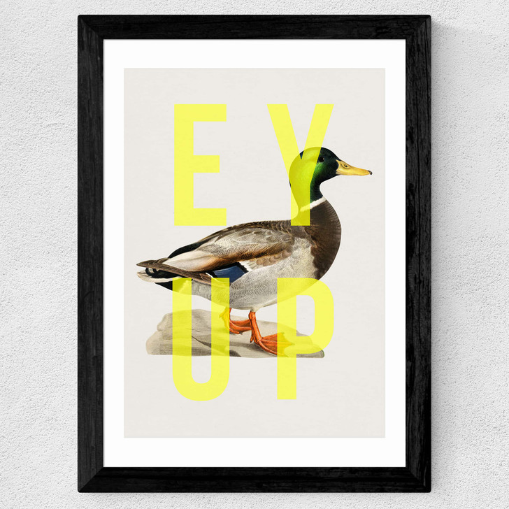 Ey Up Duck