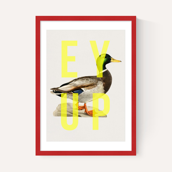 Ey Up Duck