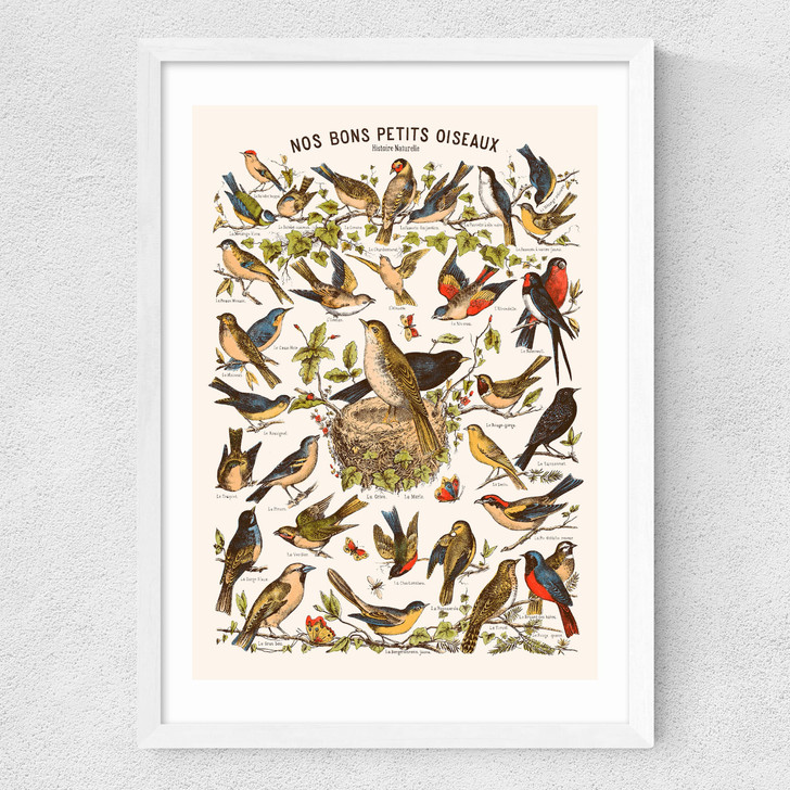 Nos bons Petits Oiseaux Medium White Frame