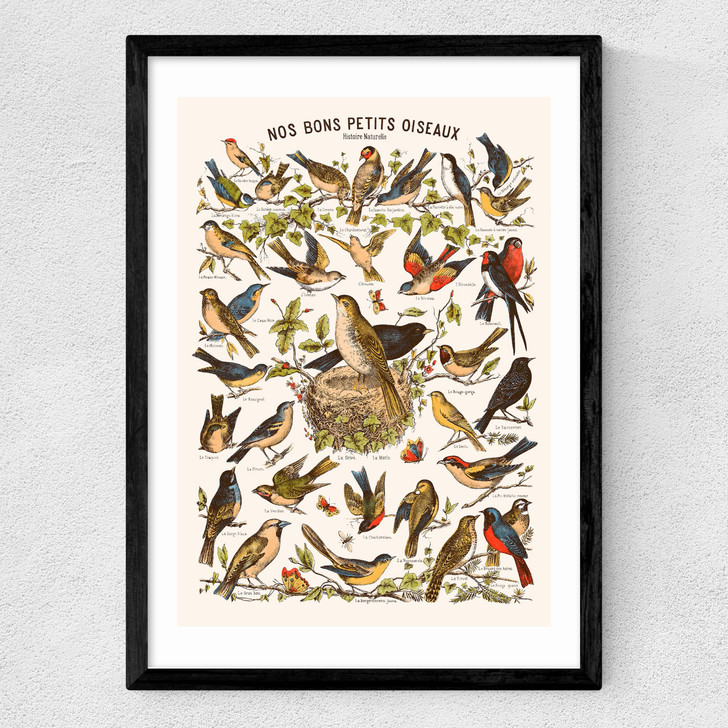 Nos bons Petits Oiseaux Medium Black Frame