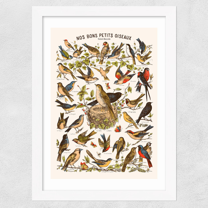 Nos bons Petits Oiseaux Wide White Frame