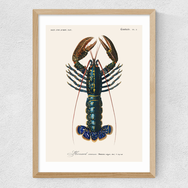 Homard