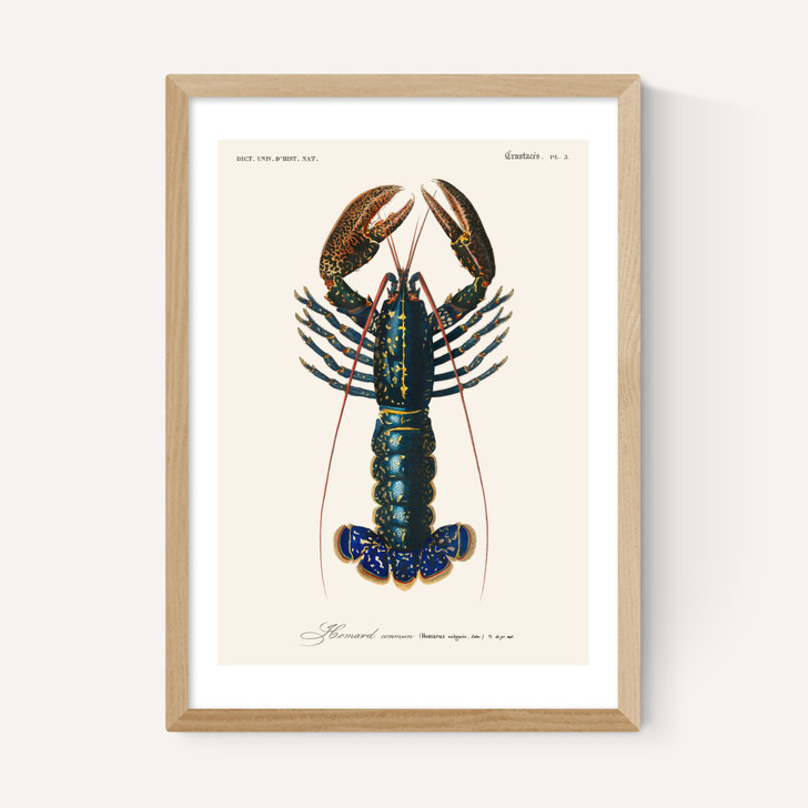 Homard