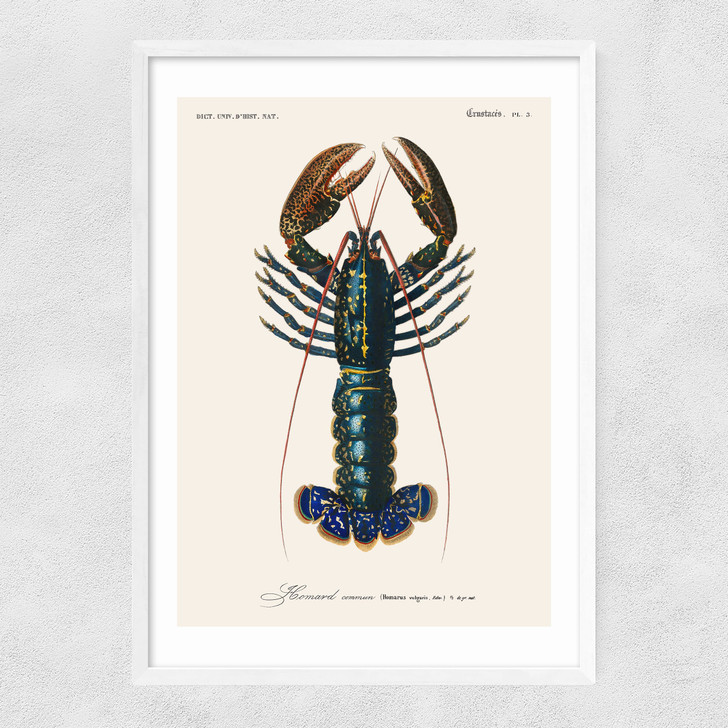 Homard