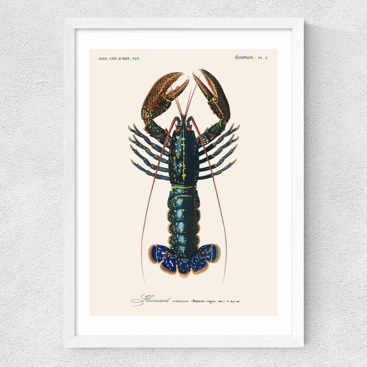 Homard
