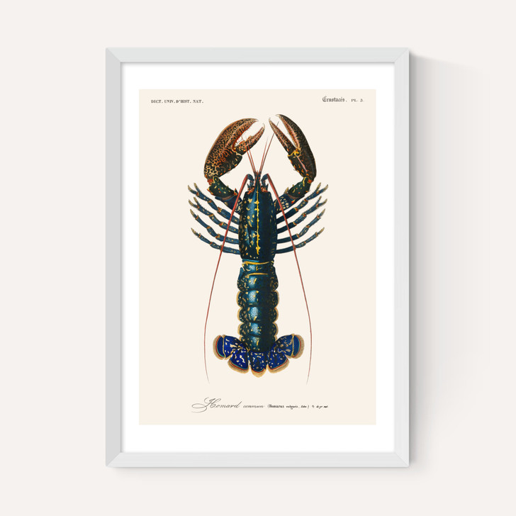 Homard