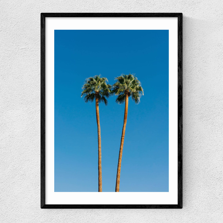 Palm Springs Twin Palms Narrow Black Frame Palm Springs Twin Palms Narrow Black Frame