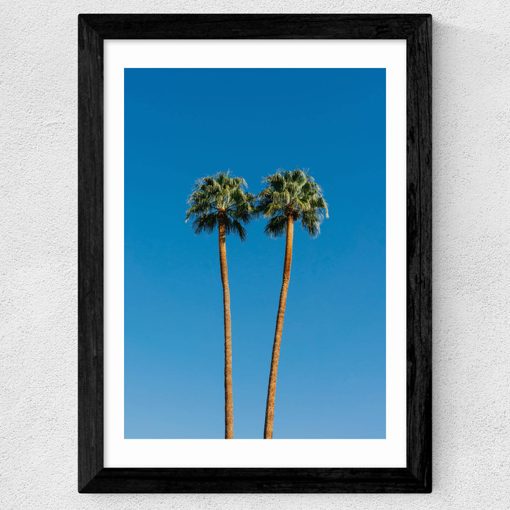Palm Springs Twin Palms Wide Black Frame Palm Springs Twin Palms Wide Black Frame