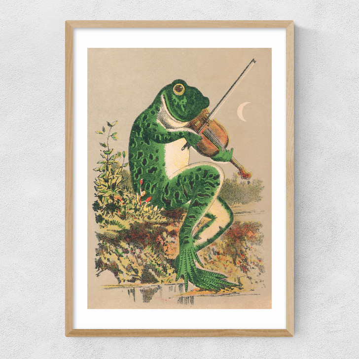 Frog Playing Violin Narrow Oak Frame Frog Playing Violin Narrow Oak Frame