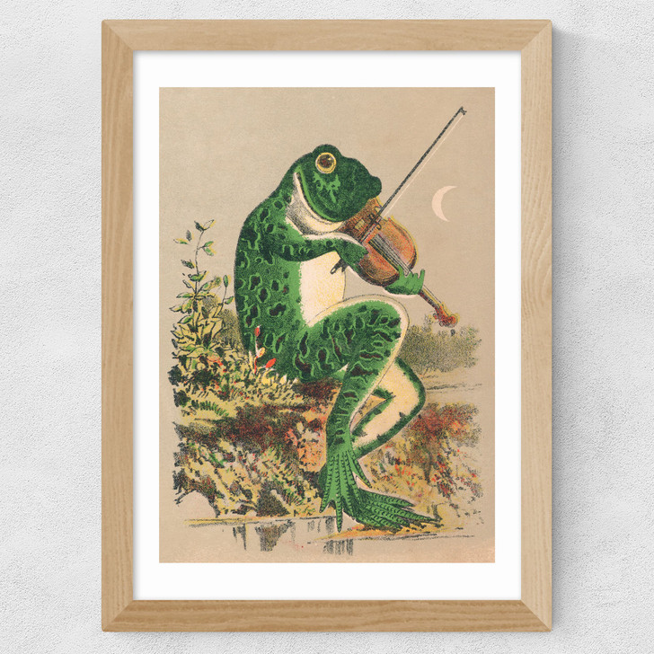 Frog Playing Violin Wide Oak Frame Frog Playing Violin Wide Oak Frame