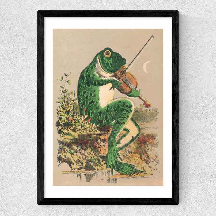 Frog Playing Violin Medium Black Frame