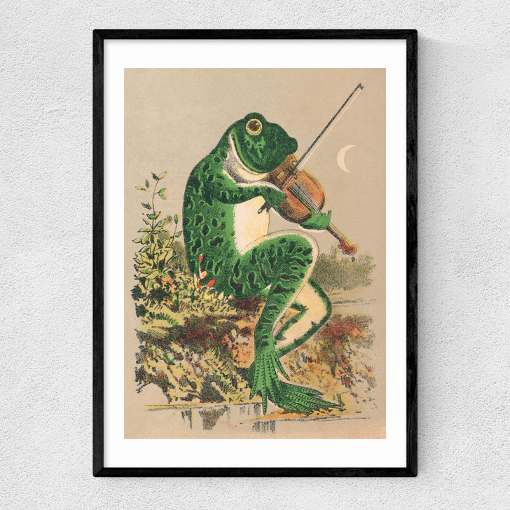 Frog Playing Violin Narrow Black Frame