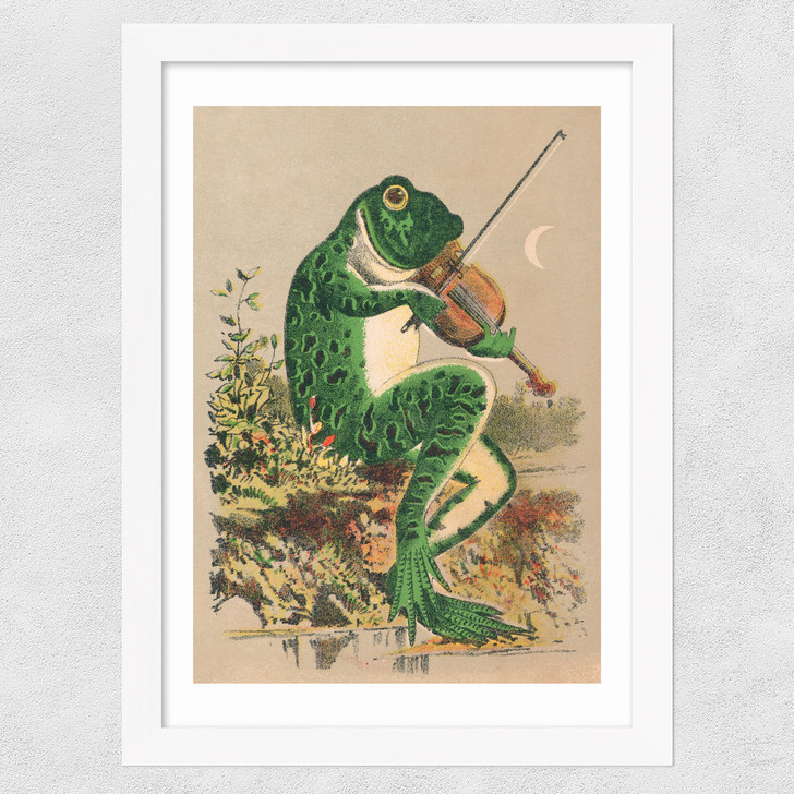 Frog Playing Violin Wide White Frame