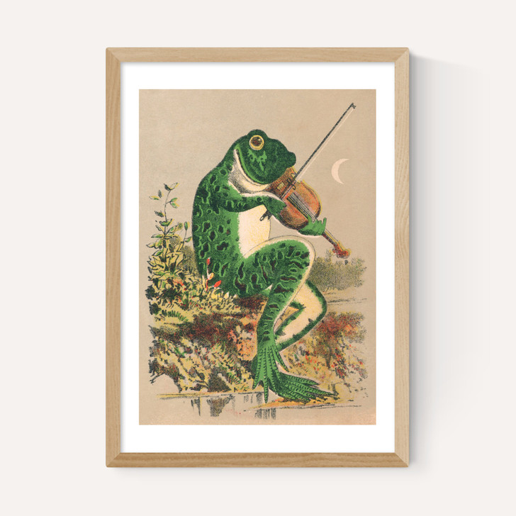 Frog Playing Violin