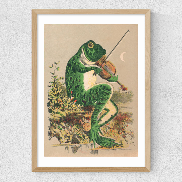 Frog Playing Violin Medium Oak Frame