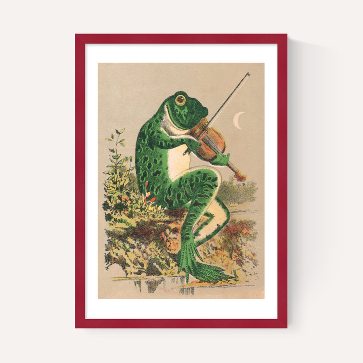 Frog Playing Violin
