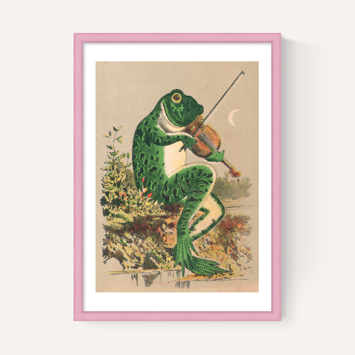 Frog Playing Violin