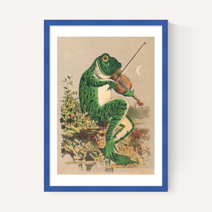 Frog Playing Violin