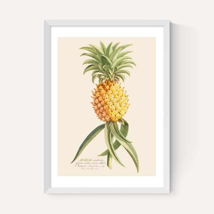 Ananas by Aster